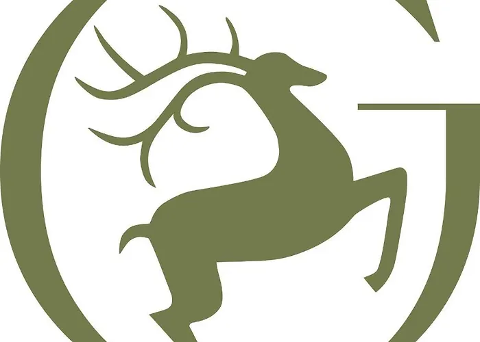 ホテル Boutiquehotel Zum Goldenen Hirschen